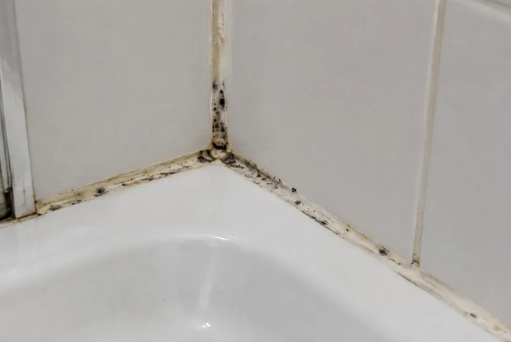 Kitbedrijf Edam – beschimmelde kitranden